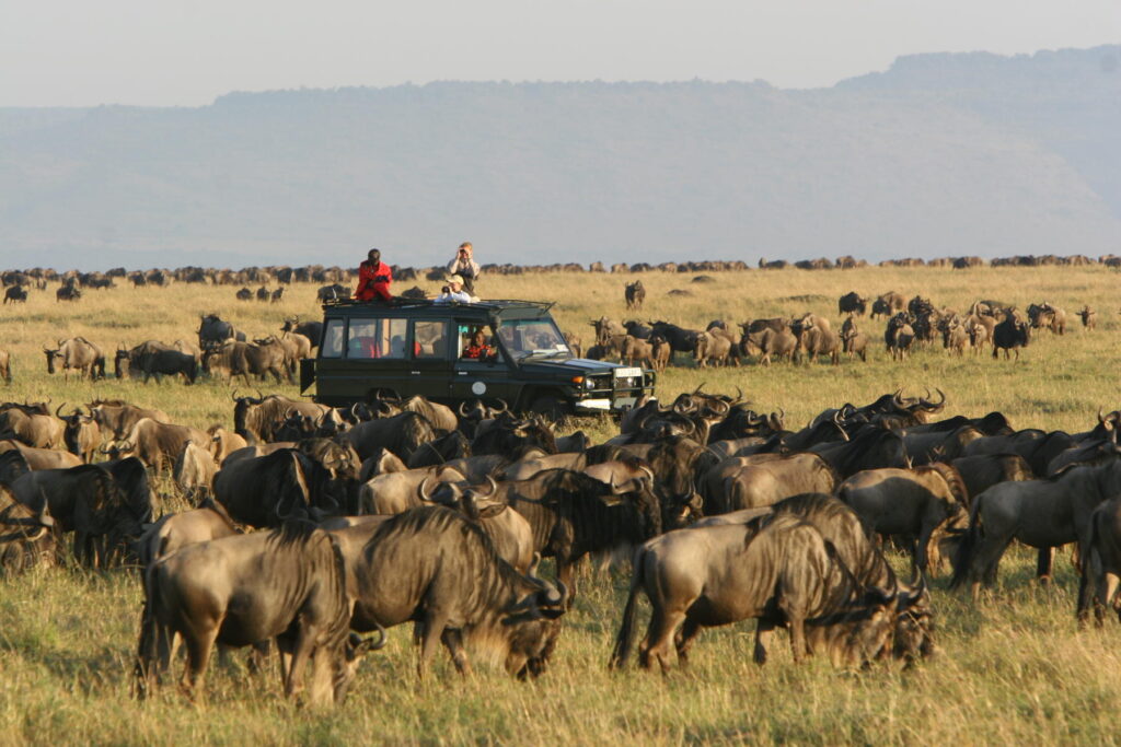 migration-arrives-at-rekero-3-1024x683