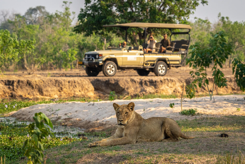 Game drives in Mana Pools National Park near John's Camp-Image Credits: John's Camp