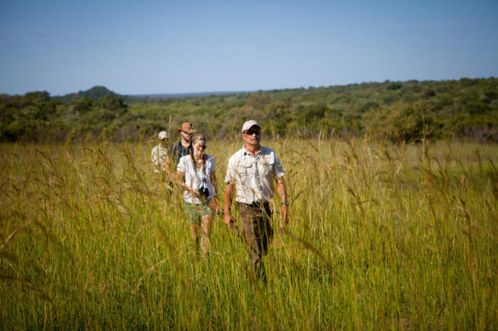 Walking safari.