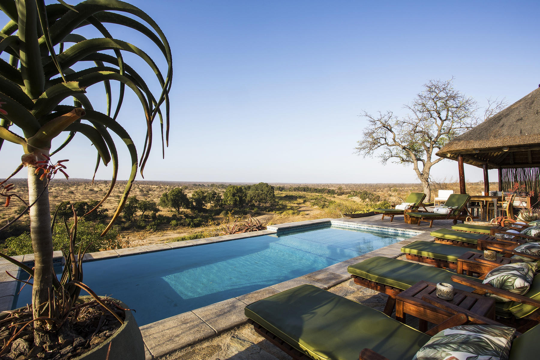 Misava Safari Camp – Discover Africa