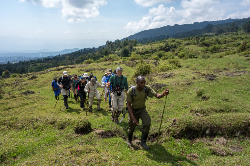 Walking Safari in Rwanda | Photo credit: Wilderness Bisate