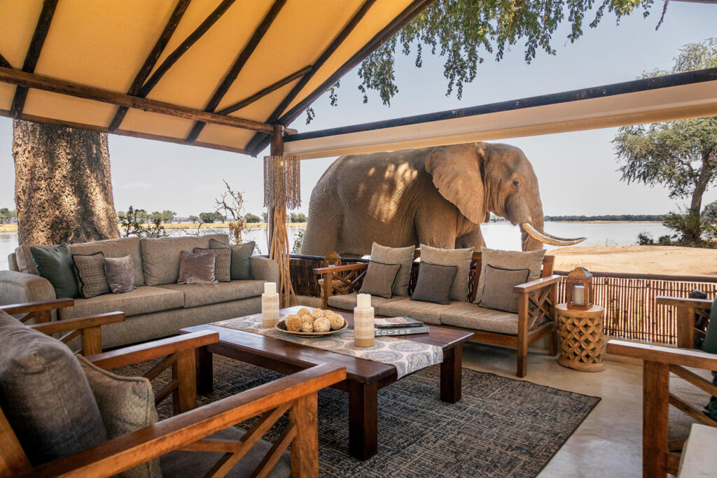 Elephat passes the lounge area of Old Mondoro Camp, Zambia | Photo credits: Old Mondoro Camp